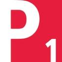 Jahia OAuth PingFederate icon